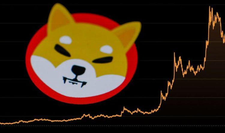 柴犬价格预警：持有柴犬股票过久，可能会出现这种情况