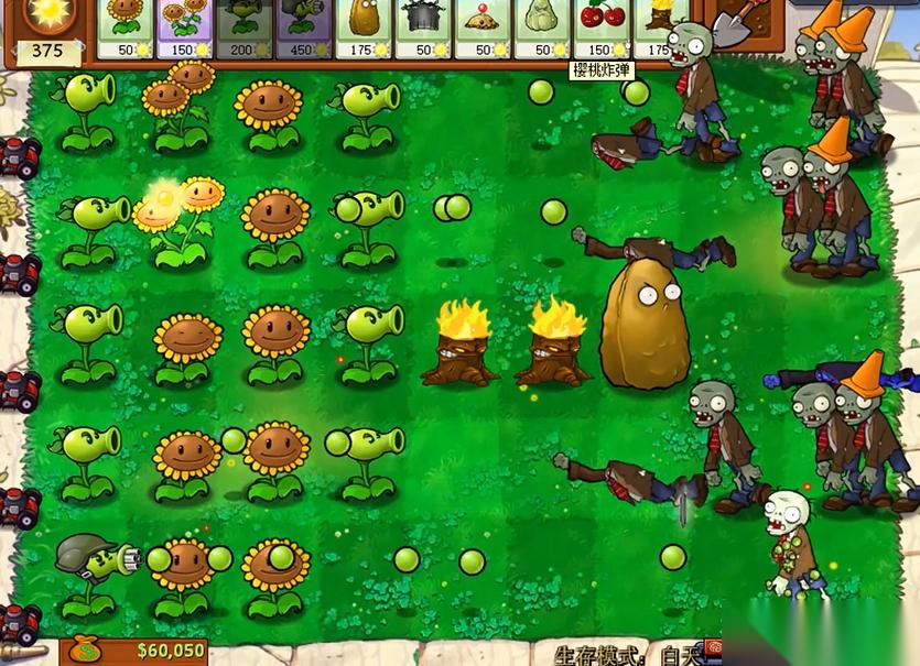 95版植物大战僵尸开局怎么过