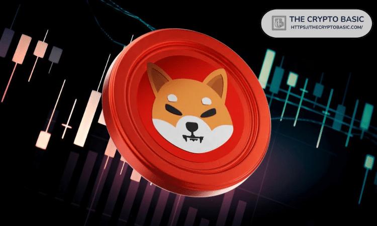 柴犬篮板球抢断无力，跌幅或将进一步扩大