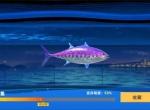 钓鱼巨物猎手2026最新兑换码分享