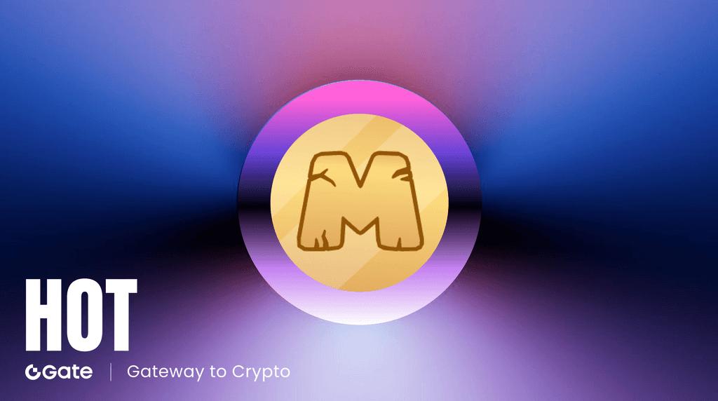 MemeFi 什么时候上线 MemeFi 历程、MEMEFI 代币表现与未来展望