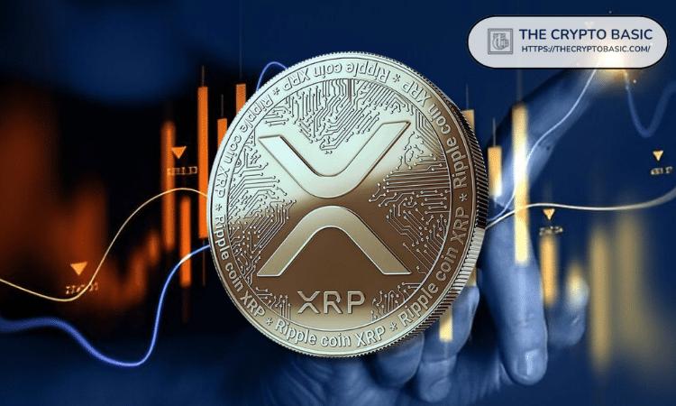 XRP 进入黄金口袋：下一步该怎么走