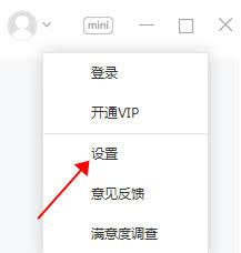 有道词典如何指定检测语言