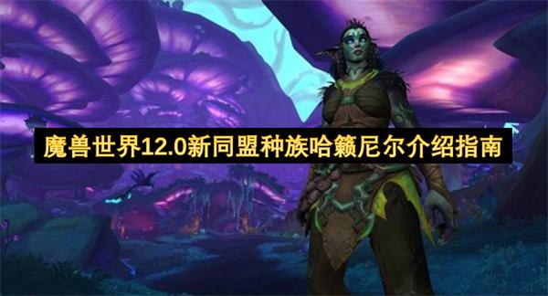 魔兽世界12.0新同盟种族哈籁尼尔介绍指南