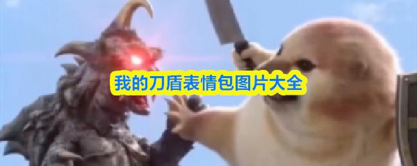 我的刀盾表情包图片大全