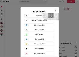 TikTok官方网页版入口在哪