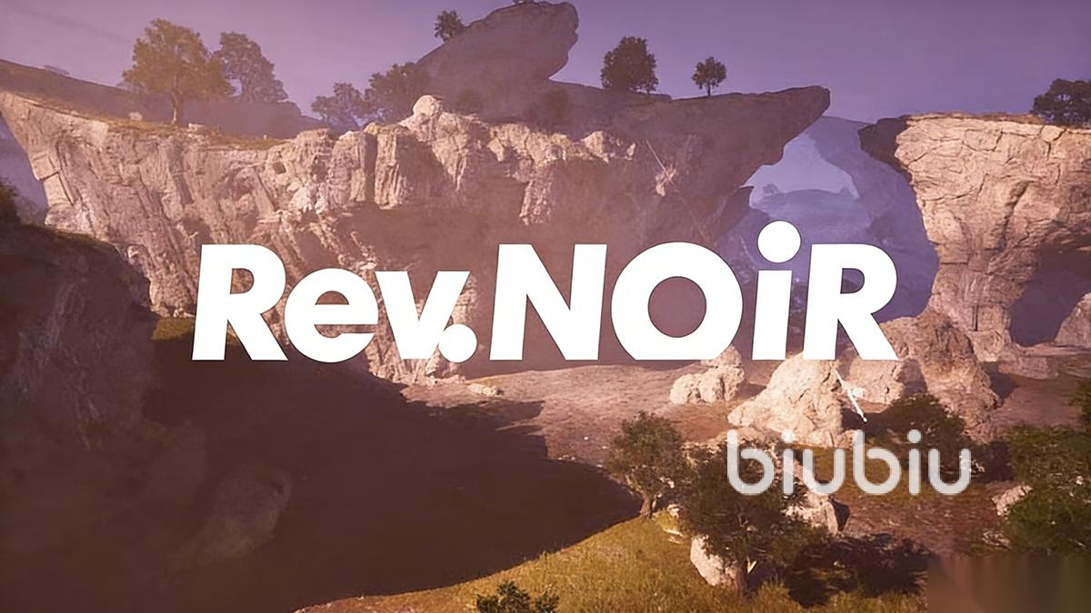 RevNoir加速器怎么选 RevNoir用哪个加速器