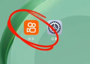快手免密支付怎么关闭 快手免密支付关闭步骤