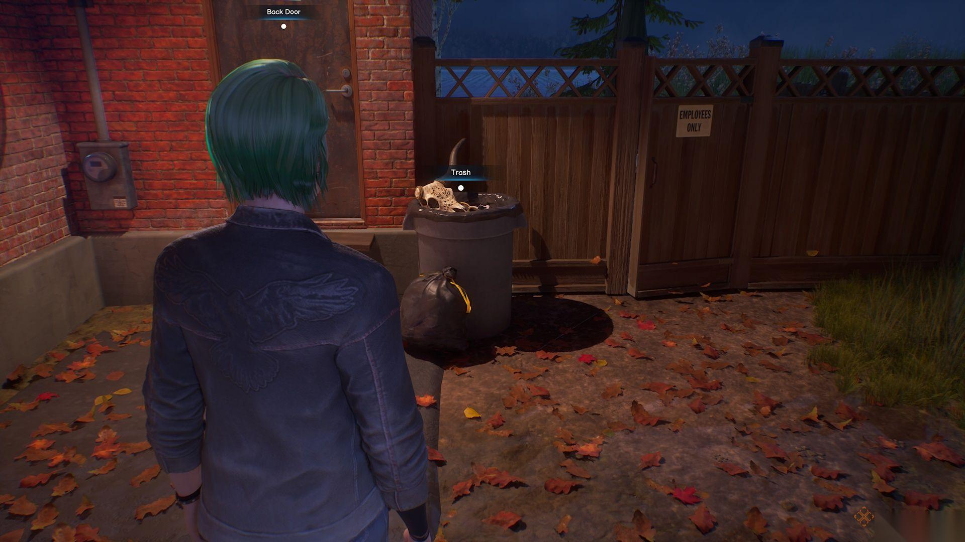 Life Is Strange: Reunion 中克洛伊所有收集品在哪里指南