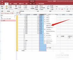 access怎么隐藏列