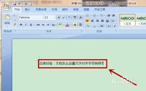 Word文字文档如何设置文字对齐字符网格