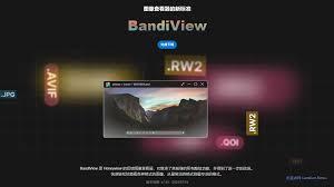 HoneyView如何设置检查更新
