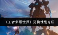 王者荣耀世界 更换性别介绍