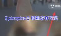 picopico 眼熟访客方法