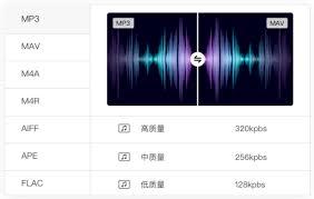 野葱视频转换器怎么转换视频格式