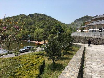 红色沙漠长叶森林任务解谜攻略是什么