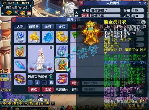 梦幻西游神木如何进行装备配置
