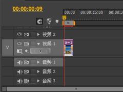 premiere如何编辑视频中单帧图片显示比例