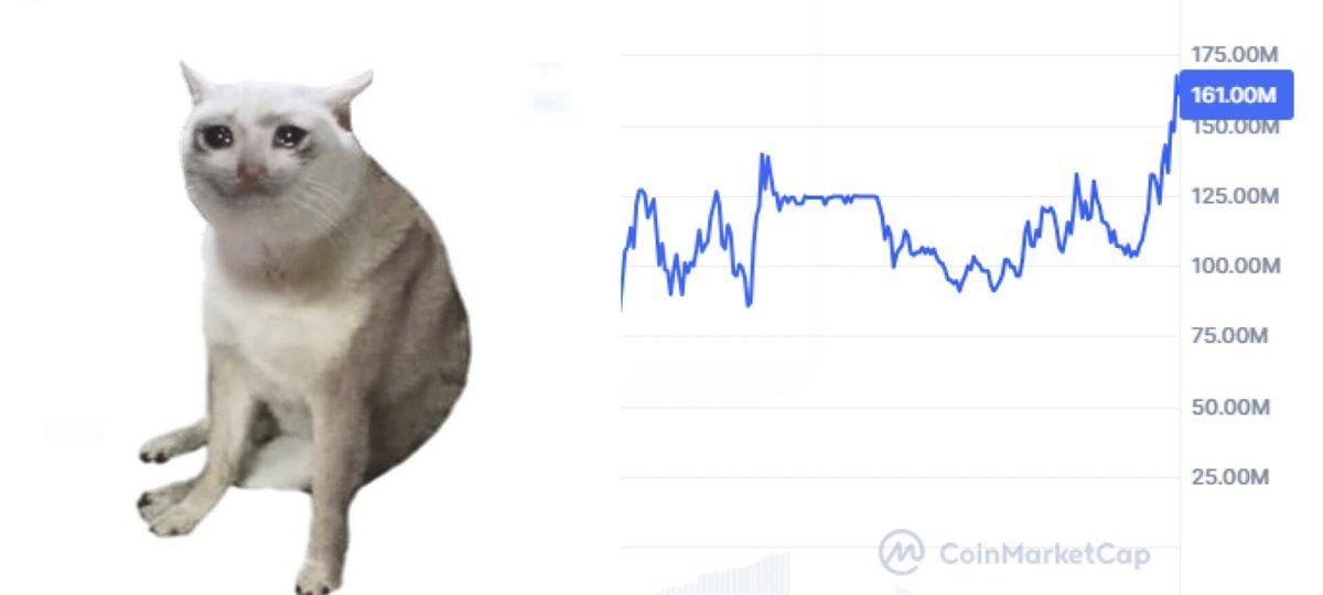CASHCAT暴涨50%！速查Robinhood链上币安官方下载入口