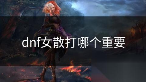 dnf女散打哪个重要